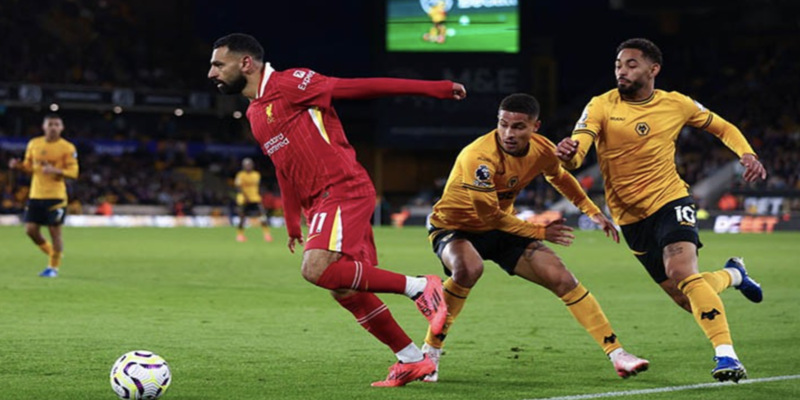 Kinh nghiệm từ những người đi trước chính là thứ người chơi mới cần phải học hỏi